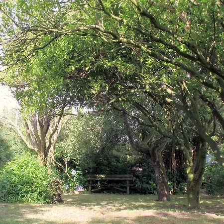 Bed and Breakfast Casa 3 Aguias