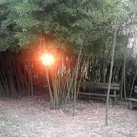 Bed and Breakfast Casa 3 Aguias Αβέιρο