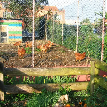 Bed and Breakfast Casa 3 Aguias 4*