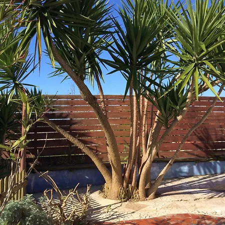 Casa 3 Aguias Αβέιρο