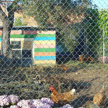 Bed and Breakfast Casa 3 Aguias 4*