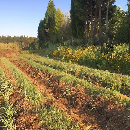 Casa 3 Aguias Αβέιρο