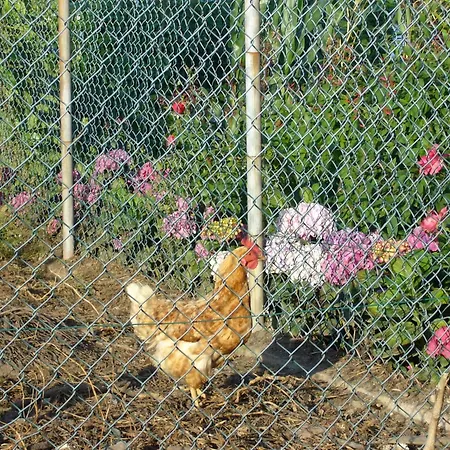 Bed and Breakfast Casa 3 Aguias