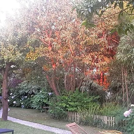 Casa 3 Aguias 아베이루