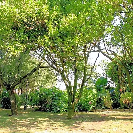 B&B Casa 3 Aguias 4*