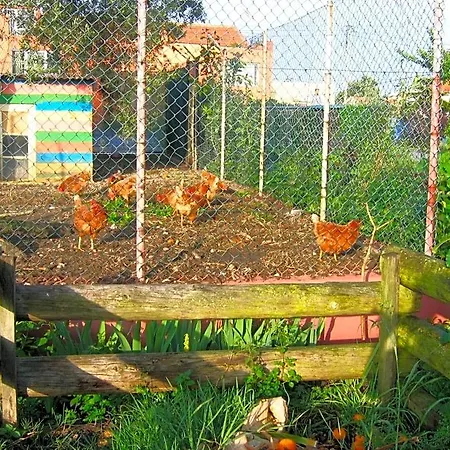 Casa 3 Aguias B&B 아베이루