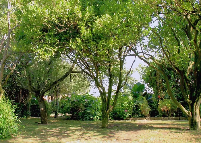 Casa 3 Aguias 4* Aveiro