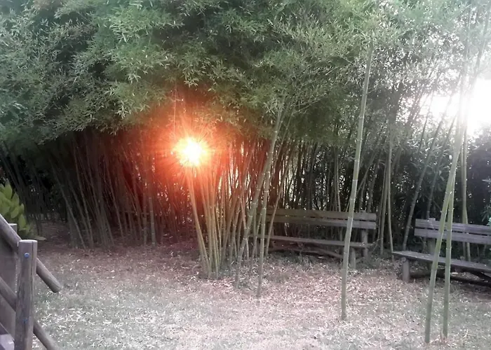 Couette-café Casa 3 Aguias Aveiro