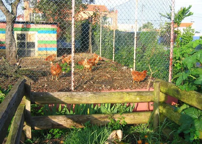 Couette-café Casa 3 Aguias 4*