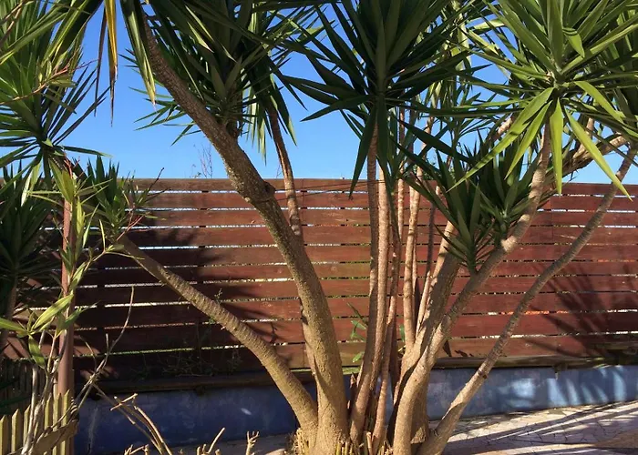 Casa 3 Aguias Aveiro