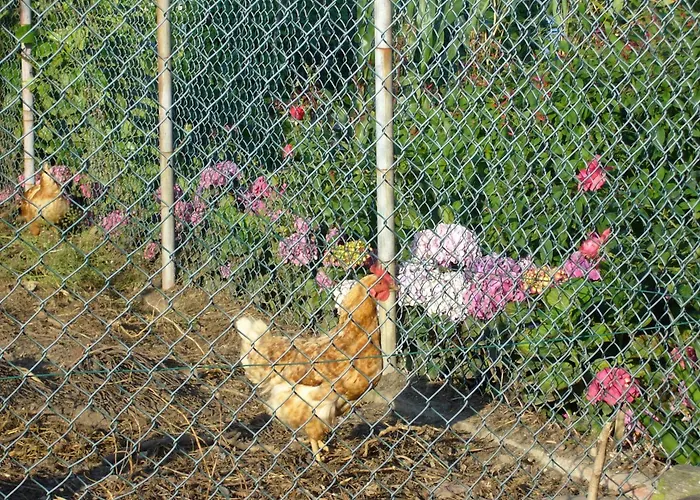 Couette-café Casa 3 Aguias